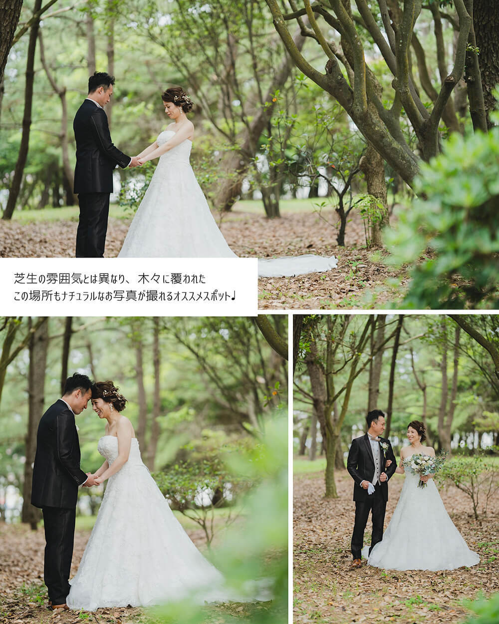 70a752c5-2011-4150-8f2e-ff1509146d01.jpg