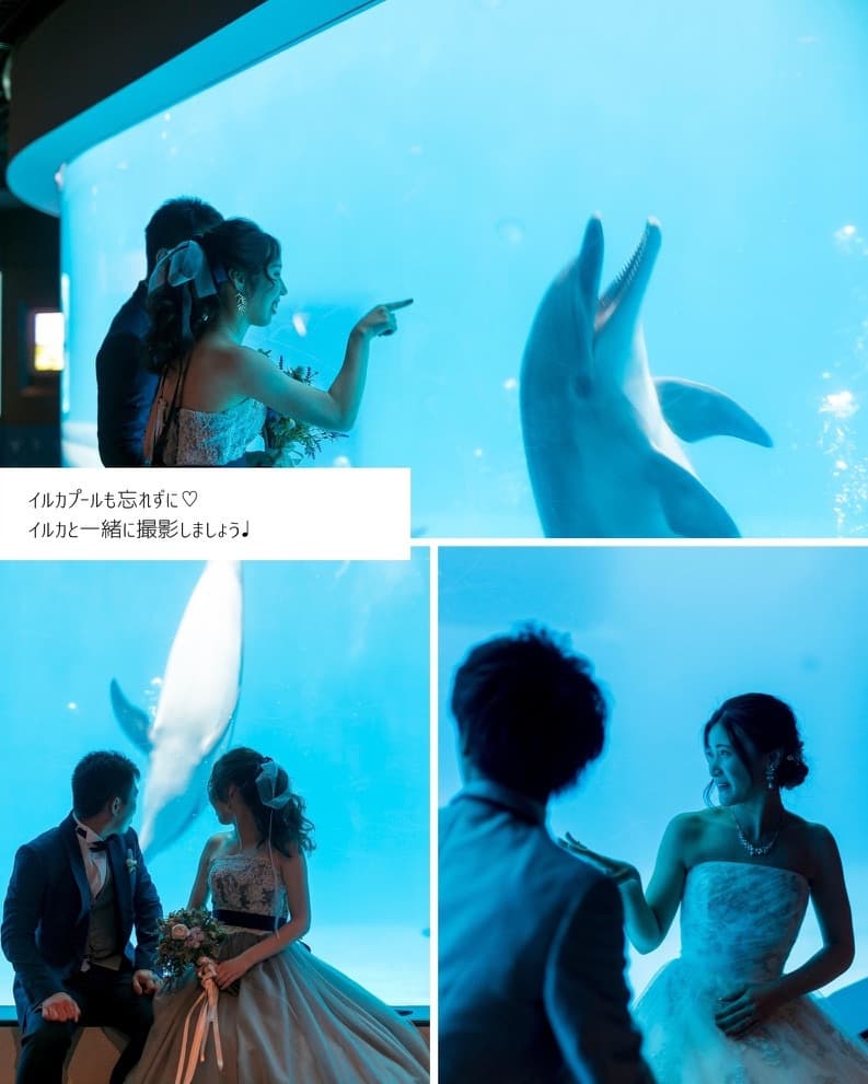 7f92f10d-572d-43ca-b4f5-57786bed31af_1_105_c.jpg