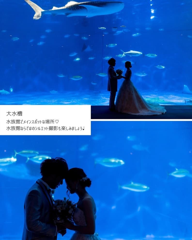 1a19dc6b-4950-414c-acdb-8cf5707f5cb8_1_105_c.jpg